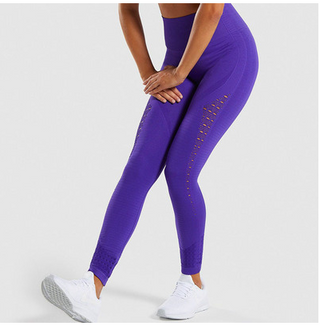 Modische Nahtlose Yoga Hosen Leggings Darkonia.de