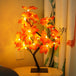 24 Lichter maple tree lights